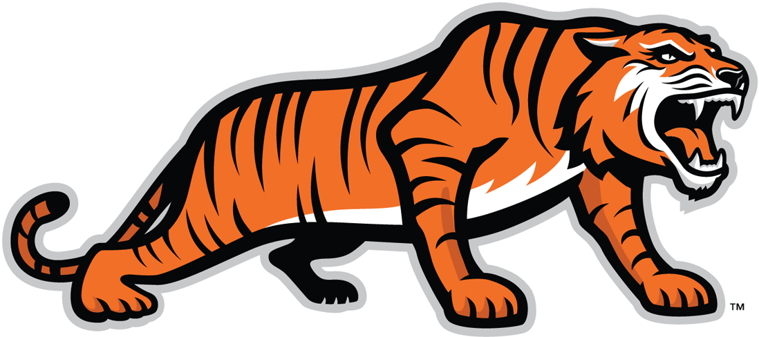 RIT Tigers 2004-Pres Alternate Logo v3 diy iron on heat transfer